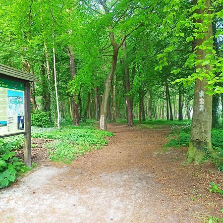 Komfort Alexa Jastrzębia Góra エクステリア 写真