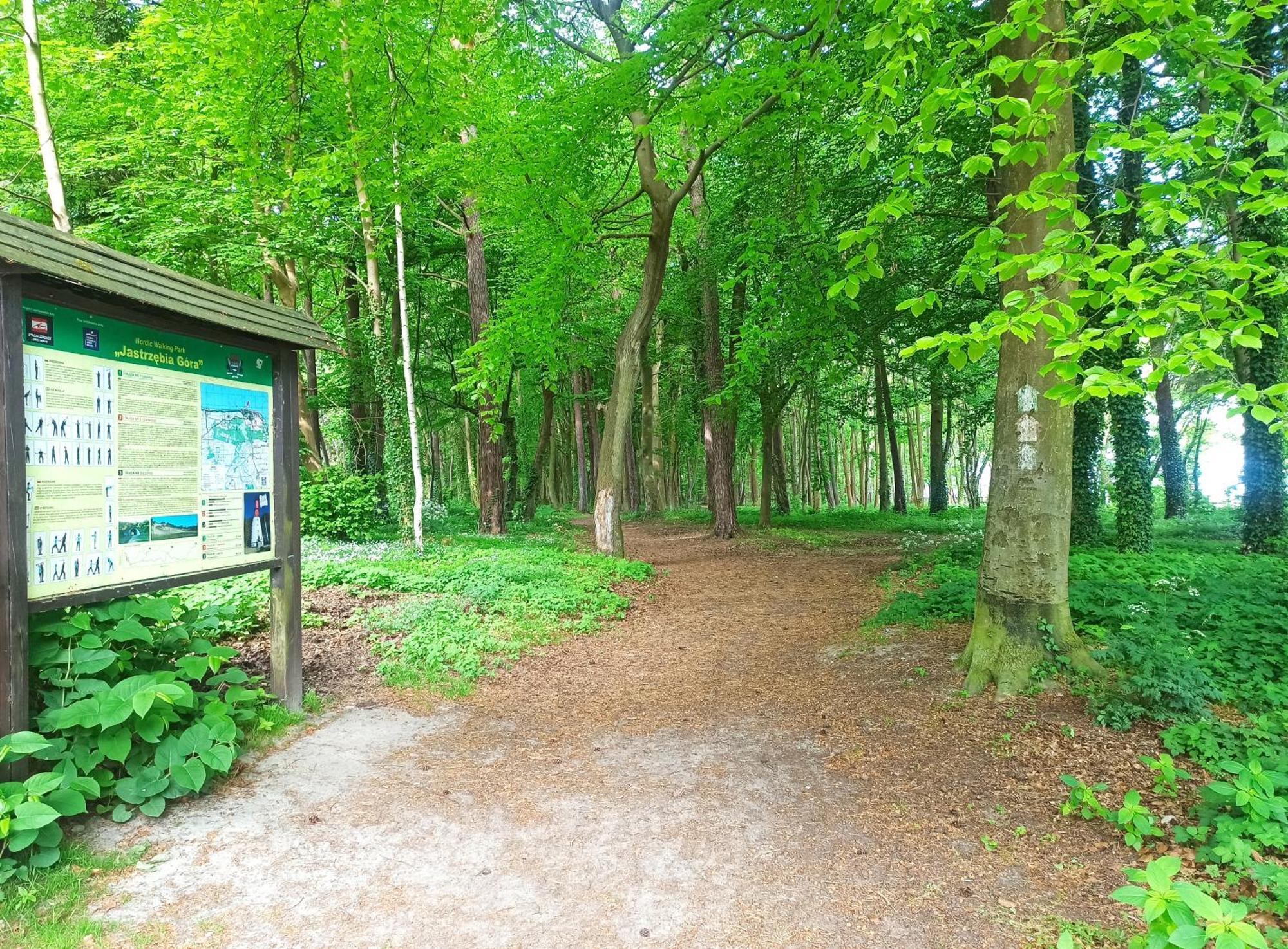 Komfort Alexa Jastrzębia Góra エクステリア 写真